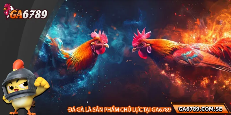 Đá gà trực tuyến là trọng tâm phát triển của Ga6789