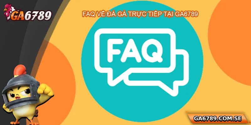 Câu Hỏi Thường Gặp Ga6789 Dành Cho Người Chơi Mới 2 FAQ về đá gà trực tuyến Ga6789