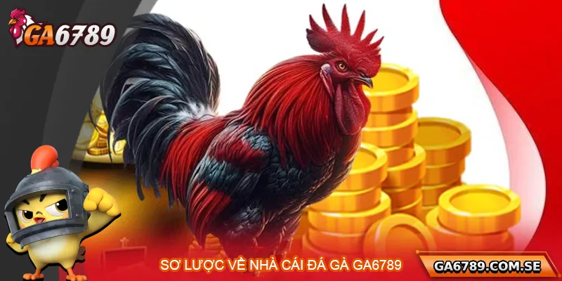 Tìm hiểu chung về nhà cái Ga6789